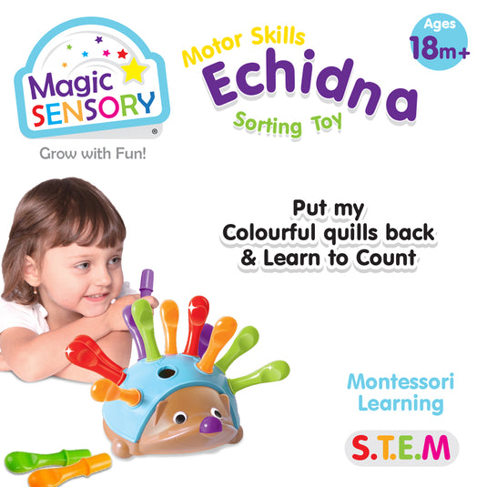 Echidna Sorting Toy packaging showing Magic Sensory branding and