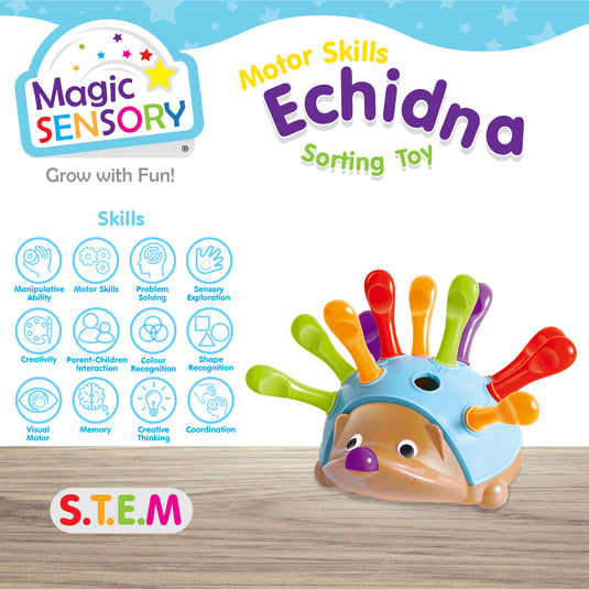 Echidna Sorting Toy skills chart showing motor skills, colour recognition and coordination icons