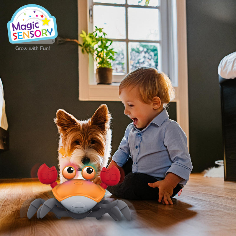 Load image into Gallery viewer, Crab crawler toy glowing with coloured lights next to a toddler and puppy on a wooden floor
