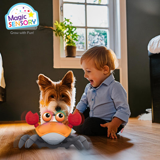 Crab crawler toy glowing with coloured lights next to a toddler and puppy on a wooden floor