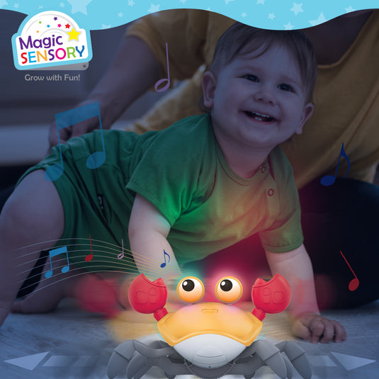 Toddler crawling toward the crab toy as it lights up and plays music