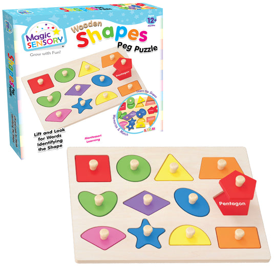 Wooden Shape Match Pin Puzzle